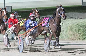 Trotter of the Year Super Zeck wins for trainer Darren Cole.