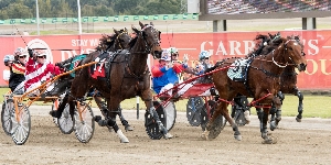 The 2016 Alabar 3YO Breeders Challenge Colts & Geldings Final at Tabcorp Park Menangle.