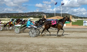 Condagen winning the Goulburn Cup earlier this year.
