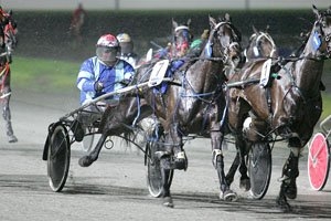 Ananz gets home in her Breeders Crown semi final