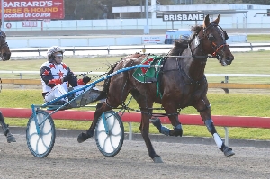 Return: Promising 3yo Key Largo makes his return on Tuesday afternoon at Albion Park