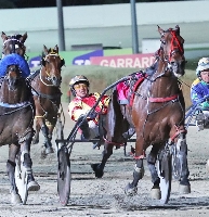 Jilliby Jagger wins at Melton, with Jason Lee in the cart on this occasion. 