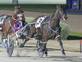 Mach Doro has drawn the pole for the Eynesbury Victoria Cup on Saturday night at Tabcorp Park Melton. 