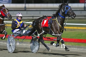 Track Record; Real Social set a new track record at Tamworth when successful in a heat of the Golden Guitar last week.