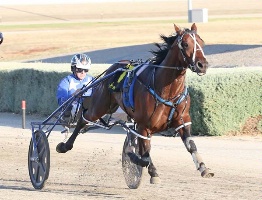 Mark Purdon and Vincent stretch out up the Melton straight. 