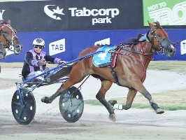 Mark Purdon drives Sunny Ruby to victory in the V L Dullard Cup.