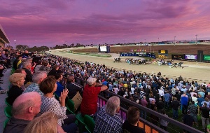The crowd watches the Summer of Glory action at Tabcorp Park Melton. 