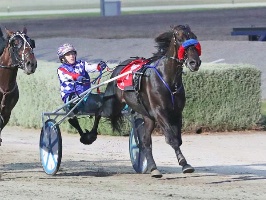  Kate Gath drives Glenferrie Typhoon to victory in the Great Southern Star.