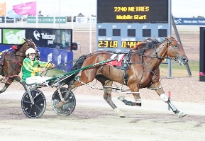 Target: Giant pacer Hughie Green is being set for the 2017 Brisbane Winter Carnival at Albion Park