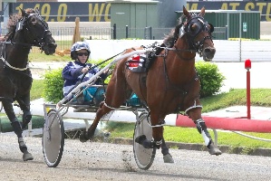 Triumph; Destreos posts his 69th victory at Albion Park winning the Open Pace in 1:53.3