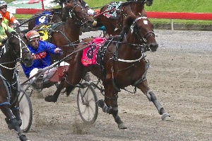 Success; Ifoundthebeach wins the first juvenile race of the season in Queensland at Albion Park.
