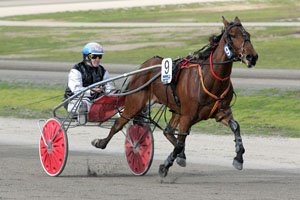 Captain Joy provides Gavin Lang with yet another Breeders Crown success