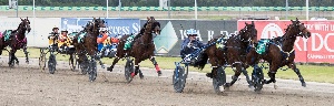 Stablemates Hectorjayjay and Lennytheshark will go head-to-head for the second time in Saturday night's Miracle Mile at Tabcorp Park Menangle.