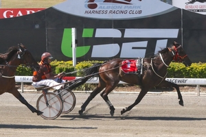 Ace: Emerging talent Scorched starts from the inside draw in the Jim McNeil Memorial Trotting Championship Final