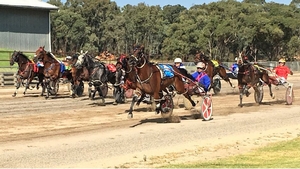Cardon Merger will attempt to win a second country cup at Wangaratta on Sunday.