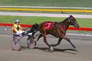 Out; Local hero Avonnova will miss next week's Gr.1 $200k UBET Blacks A Fake at Albion Park owing to a virus.