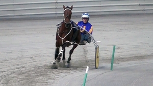 The American Ideal three-year-old winning a recent Byford trial.
