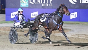 Passions Delight wins her APG semi-final for driver Gavin Lang.