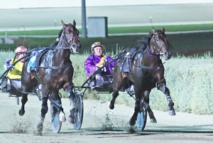 Lumineer outpoints Higherthananeagle to win her APG heat for driver Jason Lee.