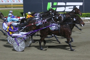In-form: Glenferrie Hood is chasing back-to-back Albion Park victories this weekend