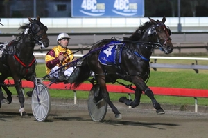Threat: Smart filly Jossie James is a leading contender in the 3yo QBRED Triad fillies feature on Saturday night