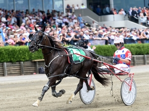 Two-time Inter Dominion champion Beautide
