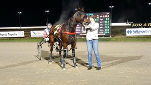 Ace Of Cardens following his win at Bathurst last Wednesday.