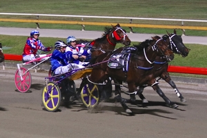 Glory: Kiwi colt The More The Better proves successful in the Queensland Derby at Albion Park