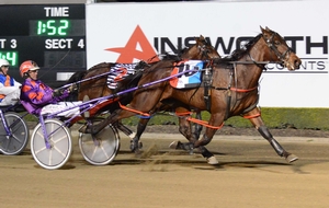 Our Little Digger winning the Alabar Breeders Challenge Blue Final at Tabcorp Park Menangle last Saturday night.