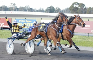 Jodi Quinlan punches the air as she guides Illawong Byron to Redwood Classic success at Maryborough last year. 