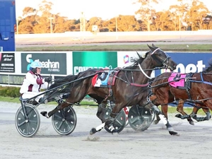 Our Bettor Joy wins her Breeders Crown semi-final for Gavin Lang and Cran Dalgety.