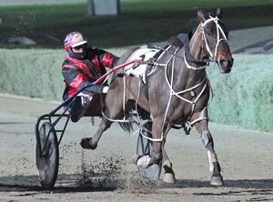 My Man Dan won a heat of the Battle of the Claimers in 2015 for trainer Robert Caruso and driver Chris Alford. 