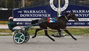 Hurricane Stride and driver Chris Alford win at Warragul.