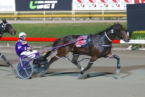 Thumper: Major Cam proved triumphant when downing Avonnova at Albion Park on Saturday night
