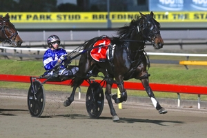 Driven; Young emerging talent Leonard Cain guides Wicked Time to victory at Albion Park last night (Saturday).