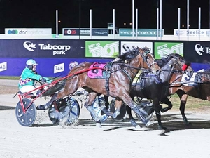 Maori Time arrives to take out the Aldebaran Park Bill Collins Trotters Sprint last night at Tabcorp Park Melton. 