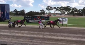 Kerryn Manning and Stroke Of Luck win the St Arnaud Pacing Cup. 