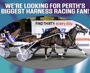 Are you Harness Racing's biggest fan?