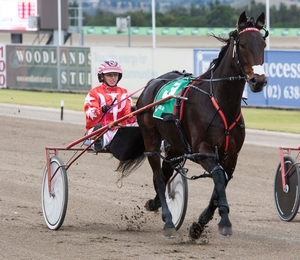 Can reinswoman Lauren Tritton guide Mach Beauty to victory at Tabcorp Park Menangle tonight (Saturday)?