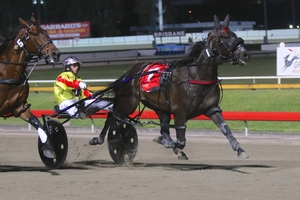 Back-to-back: Our Hi Jinx has claimed both the Lord Mayors Cup and the Be Good Johnny Sprint at Albion Park in consecutive weeks