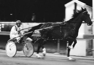 Phil Coulson with the 1967 Perth Inter Dominion winner Binshaw