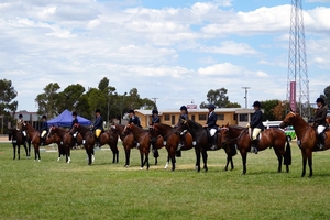 HERO horses contesting the Alabar HERO Series.
