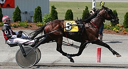 South Park Hanover will debut for new trainer Simon Burrows