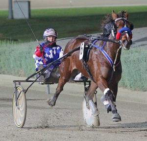 Endsino is a graduate of the Pryde's EasiFeed Australasian Premier Trotting Sale.