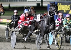 Yucatchim broke a 12 month losing streak to claim the Boort Pacing Cup on Sunday afternoon
