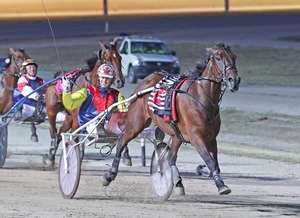 Sparkling Success is off to the International Trot at Yonkers 