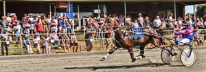 Action from West Wyalong's TAB Carnival of Cups meeting last season.