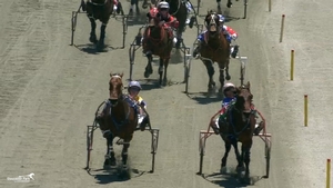 Ideal Liner (outside) winning at Gloucester Park... hear Snr's thoughts NOW!