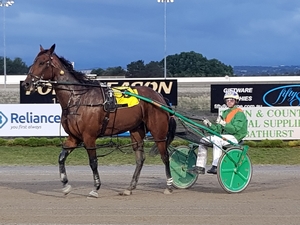 Ominous Warning was a strong heat winner at Bathurst's Gold Crown Paceway last Wednesday. 