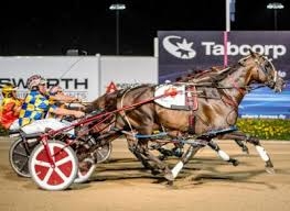 My Field Marshal winning the 2018 Miracle Mile at Menangle
